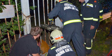 Feuerwehr-Großeinsatz für junges Reh