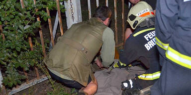 Feuerwehr-Großeinsatz für junges Reh