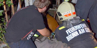 Feuerwehr-Großeinsatz für junges Reh