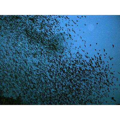 Die neuesten Urlaubsfotos