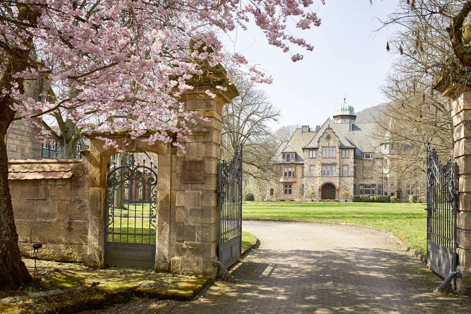 Tierisch guter Urlaub: Die schönsten Animal-Resorts