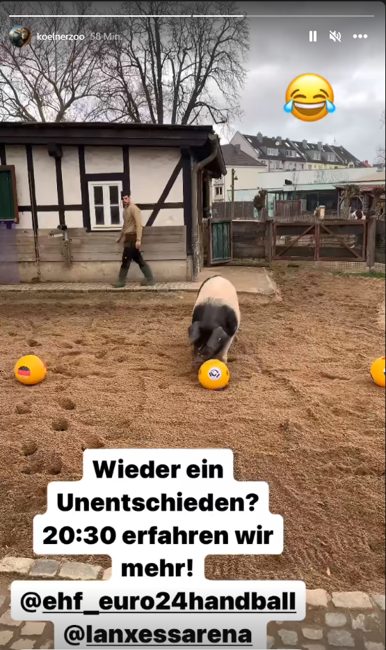 Der Nase nach: Die erste Wahl fiel auf ein Remis. 