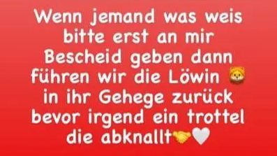 Gehört die Berliner Löwin dem Remmo-Clan?