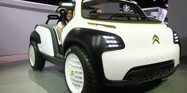 Die schönsten Fotos der Pariser Autoshow Teil 2