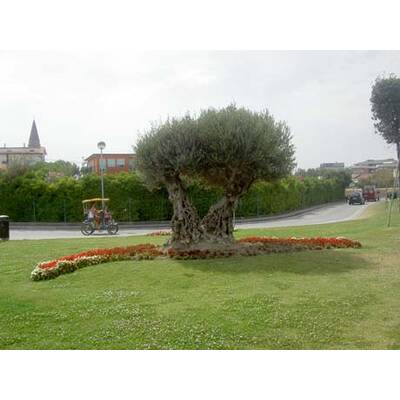 Die neuesten Urlaubsfotos