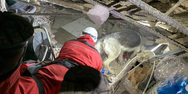 Neun Tage nach Beben weitere &Uuml;berlebende geborgen