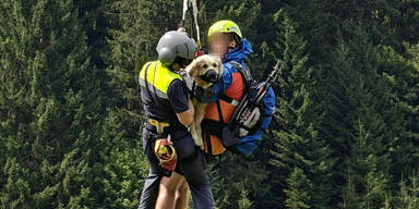Helikopter barg schwer verletzte Hündin aus Schlucht in Vorarlberg