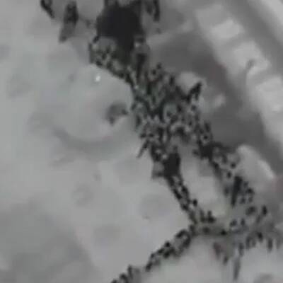 ´Hier retten sich die Passagiere