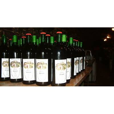 (c) Johanna Bukovsky