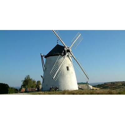 (c) Johanna Bukovsky