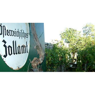 (c) Johanna Bukovsky