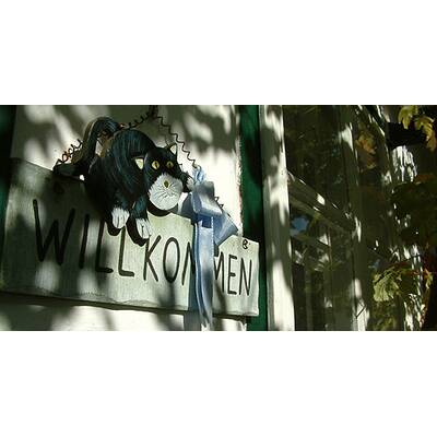 (c) Johanna Bukovsky