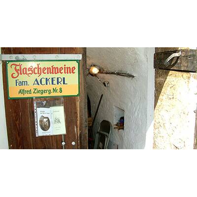 (c) Johanna Bukovsky