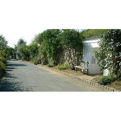 (c) Johanna Bukovsky