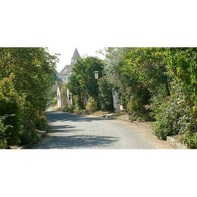 (c) Johanna Bukovsky