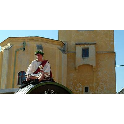 (c) Johanna Bukovsky