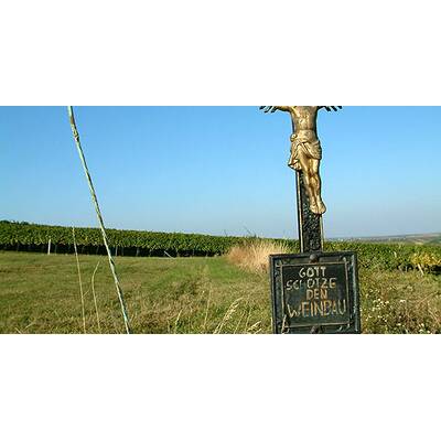 (c) Johanna Bukovsky