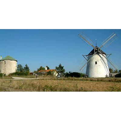 (c) Johanna Bukovsky