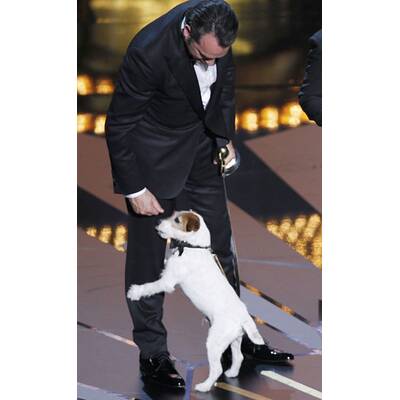 Glamour pur: Die Stars bei den Oscars