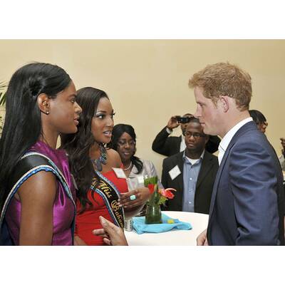 Harrys große Übersee-Tour 