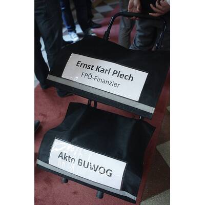 Ernst Karl Plech, Ex-Buwog-Aufsichtsrat-Präsident