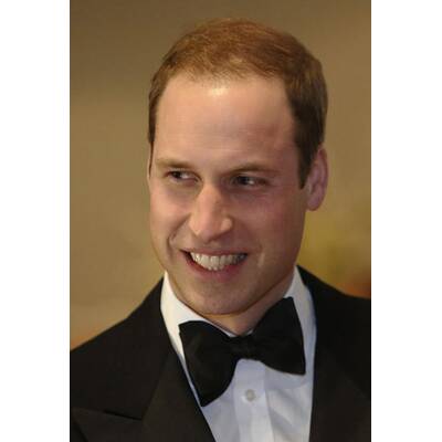 Das Jahr der Royals: Königliche Highlights 2012