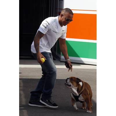 Formel-1-Pilot Lewis Hamilton liebt Hund Roscoe