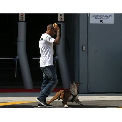 Formel-1-Pilot Lewis Hamilton liebt Hund Roscoe
