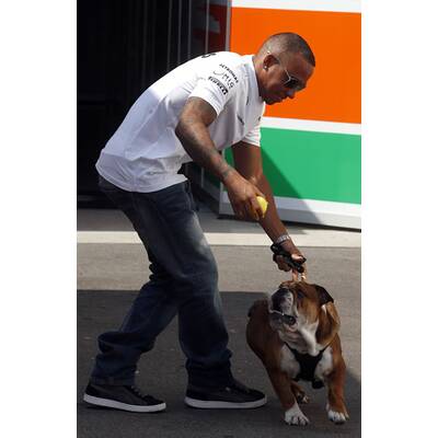 Formel-1-Pilot Lewis Hamilton liebt Hund Roscoe
