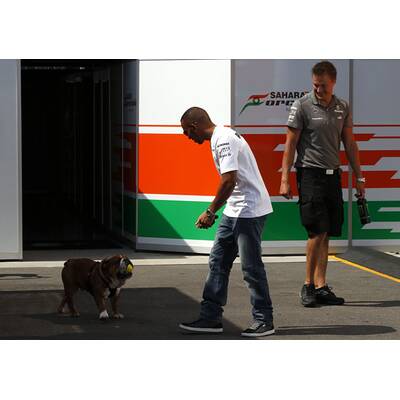 Formel-1-Pilot Lewis Hamilton liebt Hund Roscoe