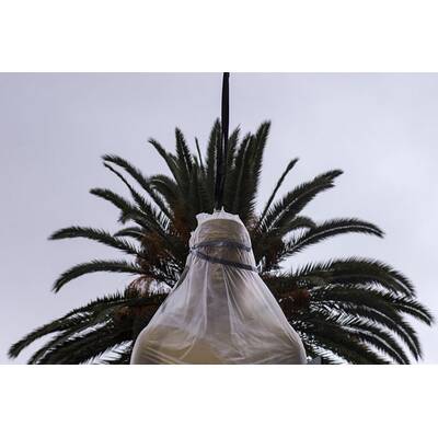 Wolfgang Puck kocht bei Oscars groß auf 