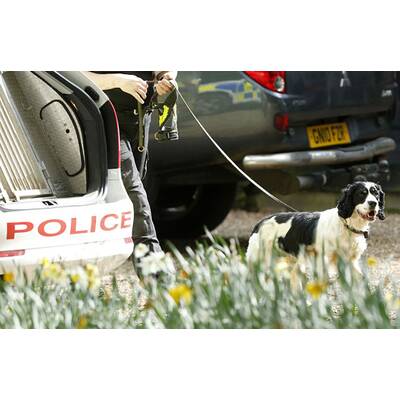 Peaches Geldof († 25): Polizei sucht nach Hinweisen