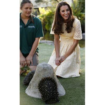 Herzogin Kate, Prinz William & Baby George: Abschied von Australien