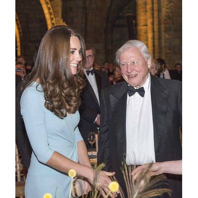 Herzogin Kate strahlend schön mit Minibauch