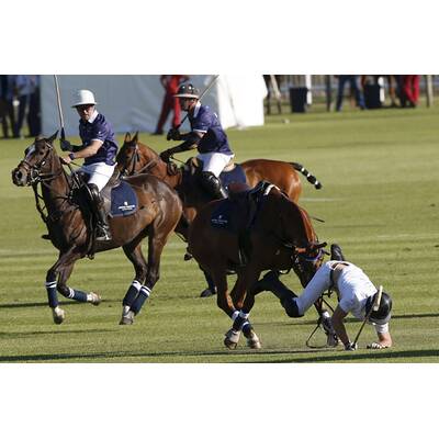 Prinz Harry fällt bei Polo Match vom Pferd