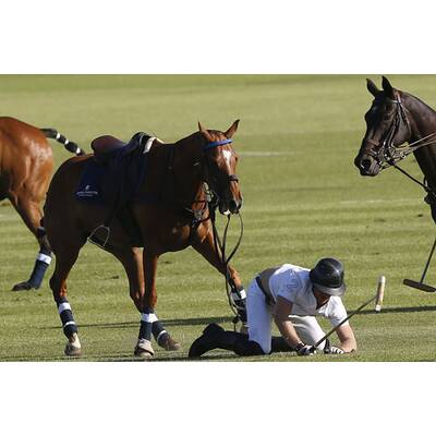 Prinz Harry fällt bei Polo Match vom Pferd