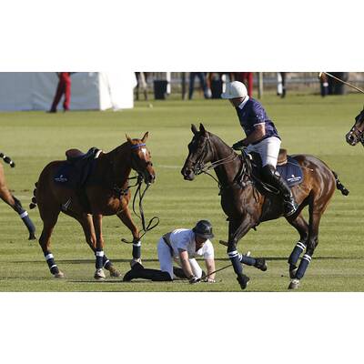 Prinz Harry fällt bei Polo Match vom Pferd