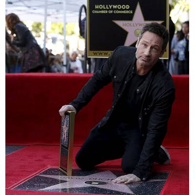 David Duchovny bekommt Stern am Walk of Fame
