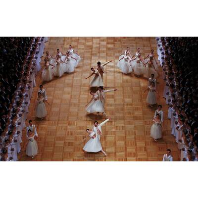 Opernball 2016: Die schönsten Momente