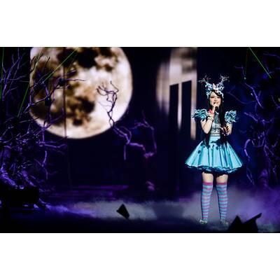 Eurovision Song Contest: Alle Bilder