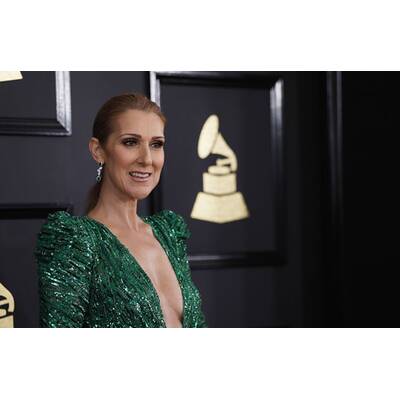 Grammys 2017: Die heißesten Stars