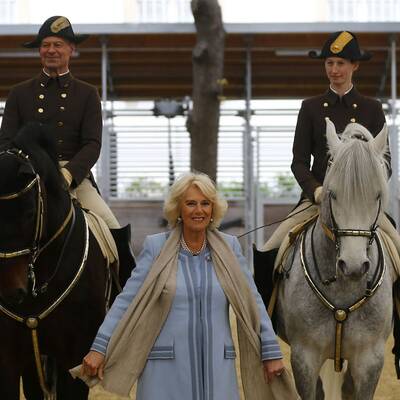 Herzogin Camilla bei den Lipizzanern