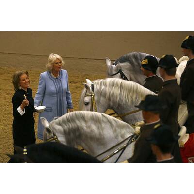 Herzogin Camilla bei den Lipizzanern