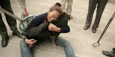 Ein-Hund-Politik gegen tierische Überbevölkerung