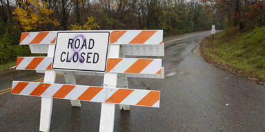 Massaker an Bären und Löwen in den USA