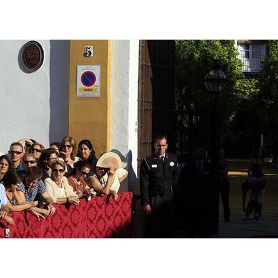 Herzogin von Alba: Die Hochzeit