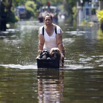 Land unter in Bangkok