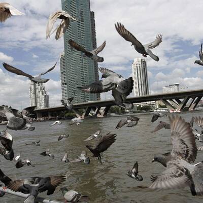 Land unter in Bangkok