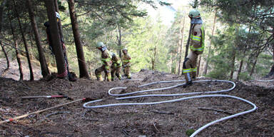 Deutscher z&uuml;ndet F&auml;kalien an &ndash; verursacht Waldbrand in Tirol