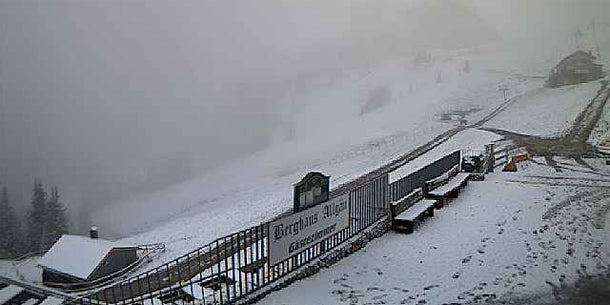 Frost-Walze im Frühling